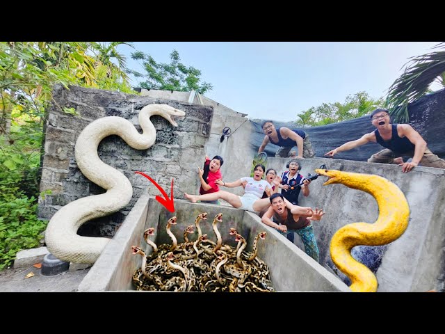 Brave Soldier Uses High-Tech Snake Detector to Locate Giant Python Nest