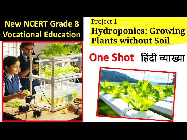 Hydroponics | ONE SHOT | Class 8 NCERT Vocational Education | Kaushal Bodh Ch 1