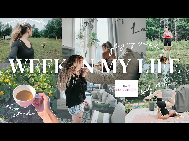 daily vlogging my way into fall 🍂 getting my spark back
