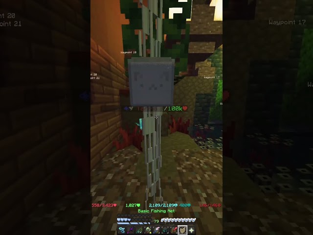 #skyblock #hypixelskyblock #hypixel