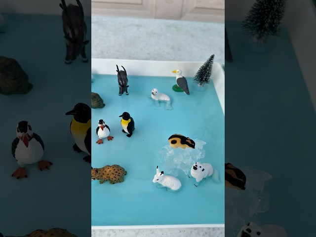 Artic Animals and forest animals world   #shorts #shortvideo #kids