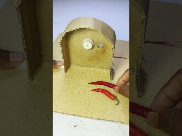 Chilli cutting tool diy 🌶️ #chilimachine #project #dcmotor #diy #shorts