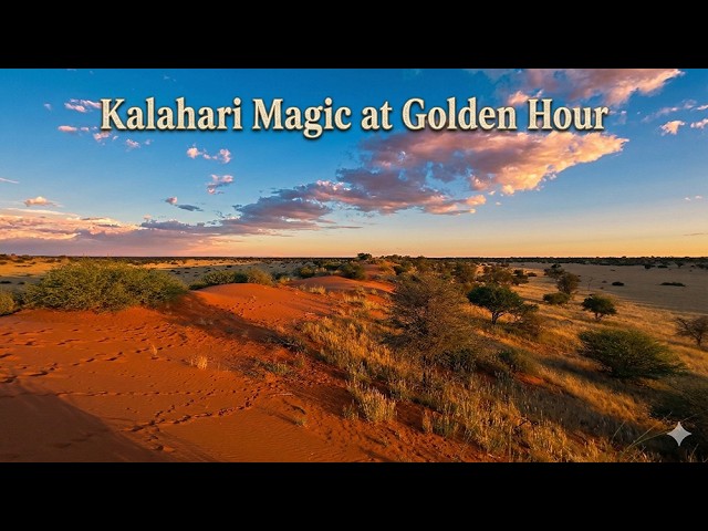 Wildlife & Sunset in the Kalahari...what to expect?