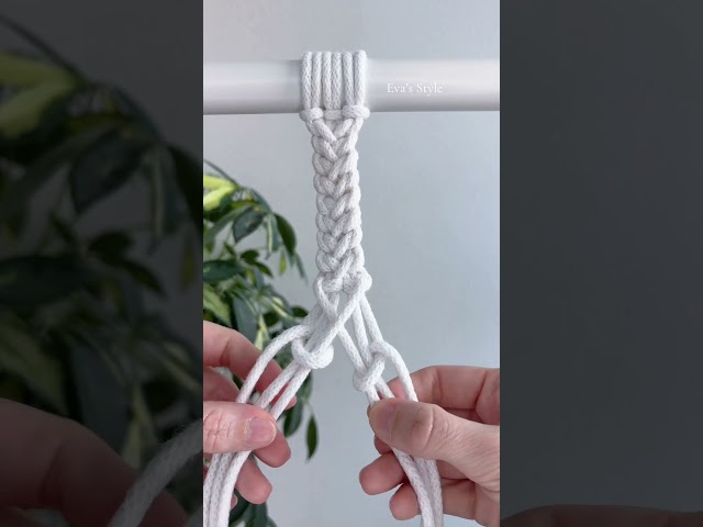 Intricate Macramé Braid Tutorial 🤎 | Bracelet, Bag Strap & Wall Decor
