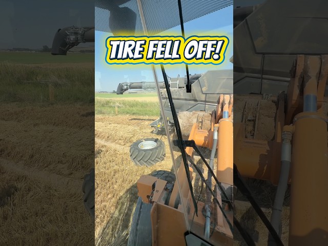 The tire fell off the combine! #farming #farmer #agriculture ￼