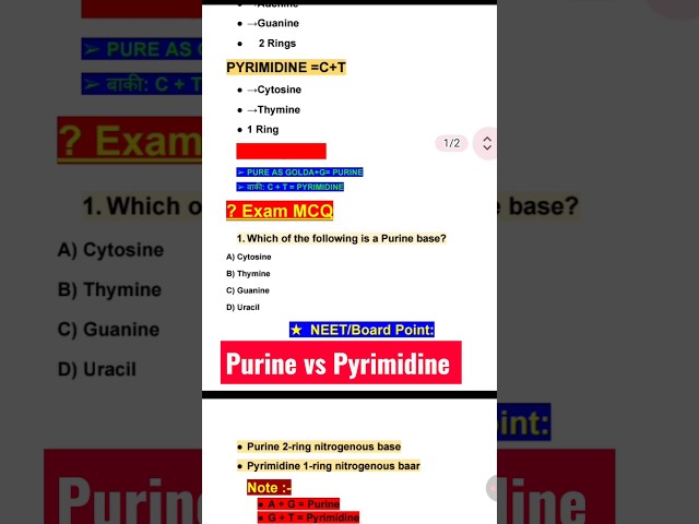 Purine vs Pyrimidine | A + G vs C + T |CI |Molecular Basis of Inheritance | Class 12 #shorts #viral
