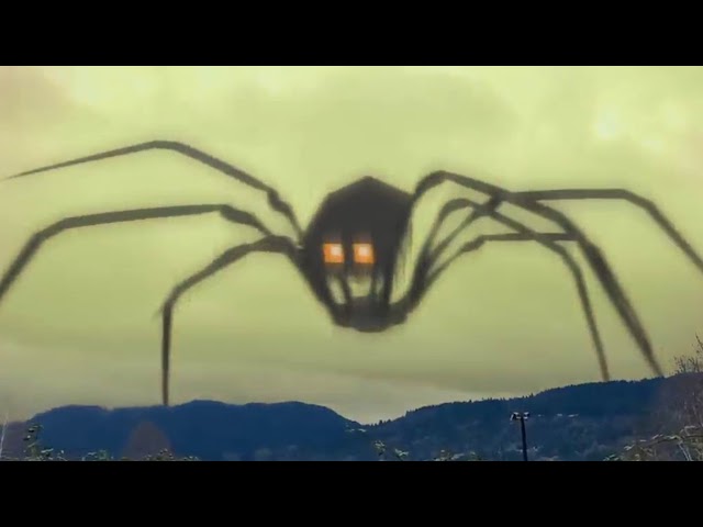 I accidentally recorded this in 360