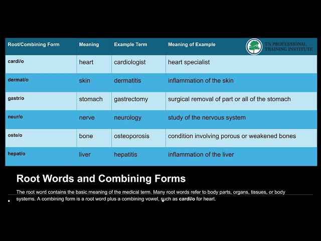 Building and Understanding Medical Terms