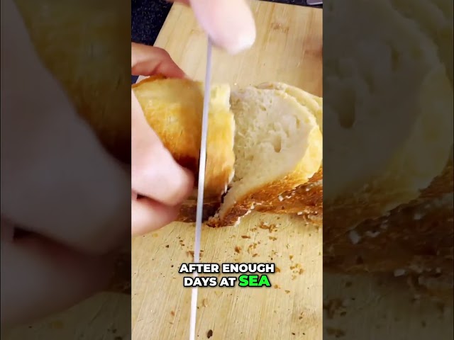 Sailing Food Journey: Watching Our Last Tomato Disappear! #sailinglife #sailingfamily