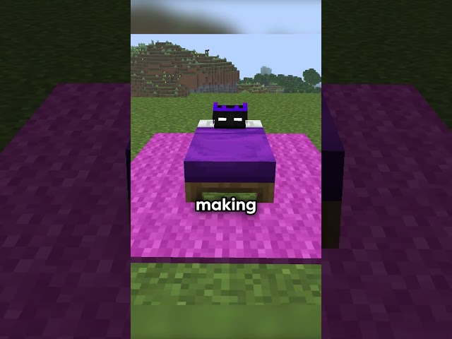 You Can Finally Hide Under Blankets?! 😯 #minecraft