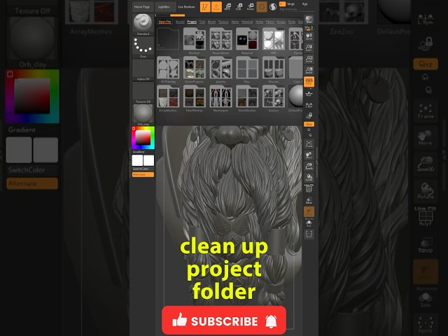 ZBrush tutorial quick tip Optimize ZProjects folder