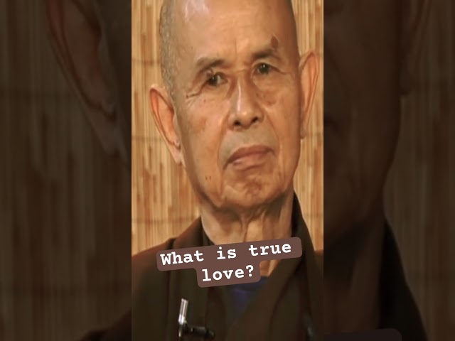 Does religion support romantic love? #zen #meditation #plumvillageapp #love