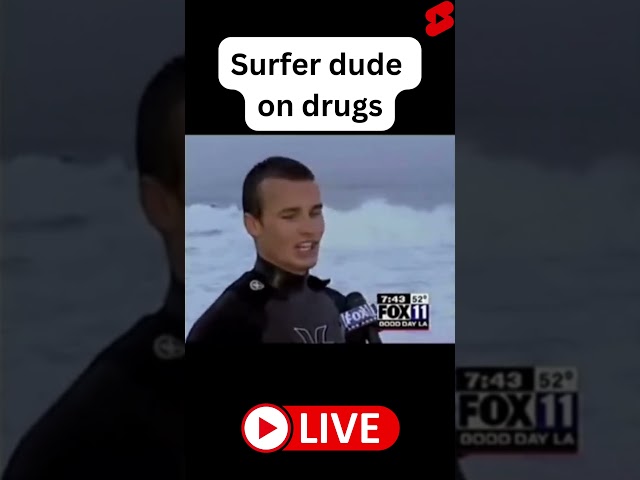 Funny surfer dude interview! Surfer dude on drugs Fox News #surfer #shorts