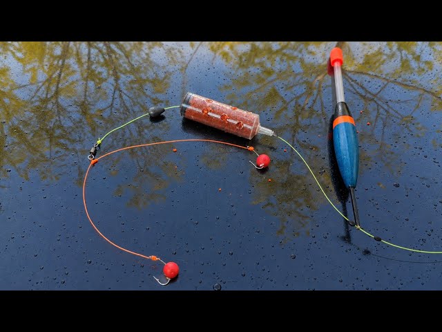 Brilliant fishing hack you need to know! — DIY Long-Distance Fishing Rig
