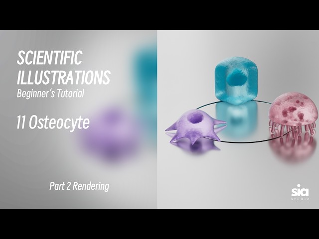 Beginner C4D Tutorial for Scientific Visualization High-Quality Rendering Guide Osteocyte Bone Cell