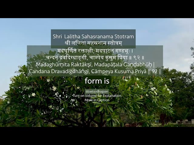 Shri Lalitha Sahasranamam Shlokas 91-95 with Meaning | Powerful Daily Chanting |Just Sudha Gyan