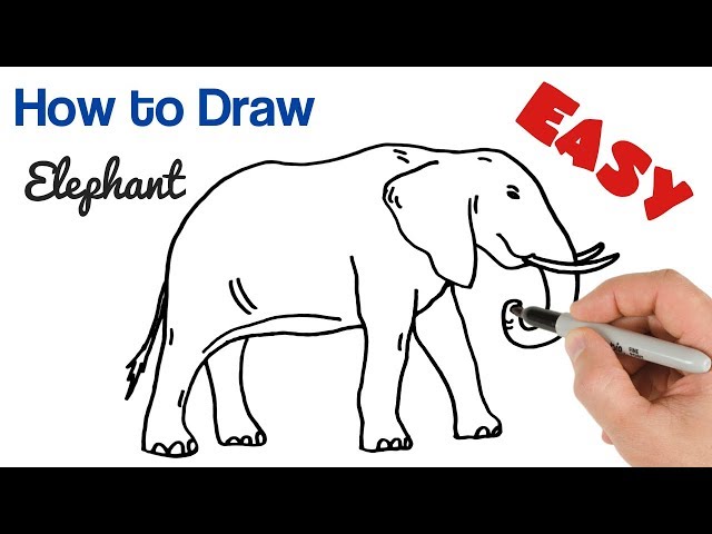 How to Draw an Elephant Easy Step by Step | Art Tutorial for Beginners