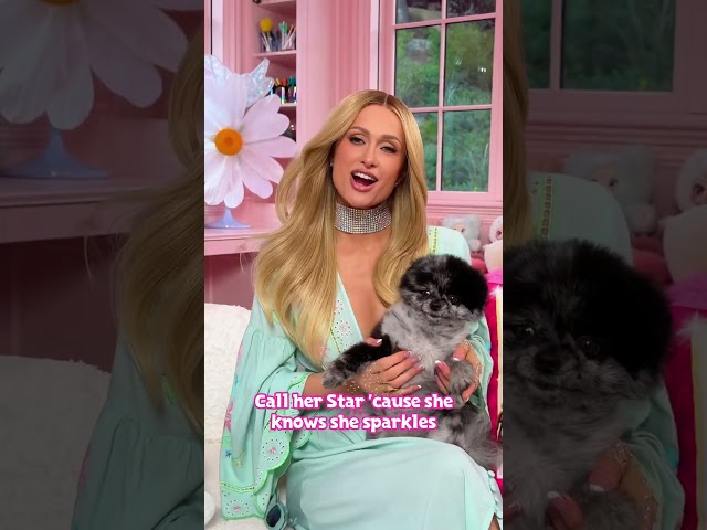 We are pupsessed with @Paris Hilton 's new song #StarkleOn