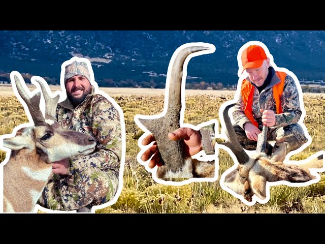 Pronghorn Hunting! (3 BIG ANTELOPE In Colorado!) *Bow Give-A-Way Way Announcement* HOW MANY SHOTS?!?