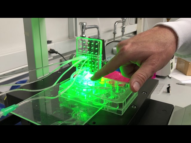 3D Printing of Tendons and Ligaments