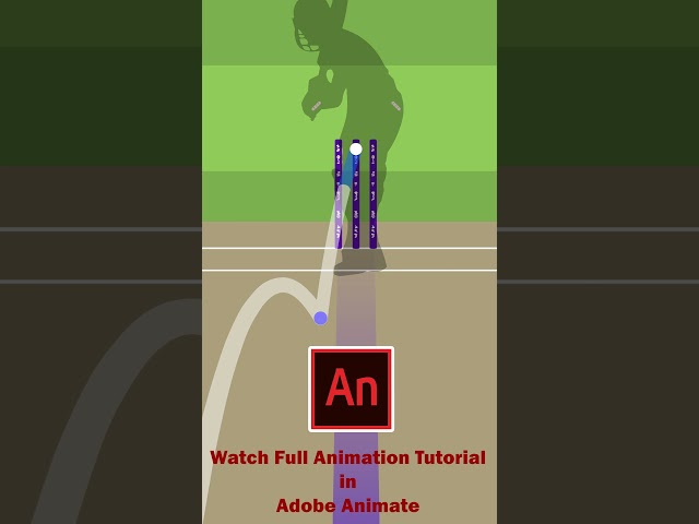 Cricket Ball Tracking Animation Short