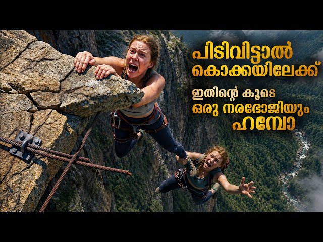 ഇതൊരു ഒടുക്കത്തെ ട്രിപ്പ് ആയി പോയ്‌ | മലയുടെ മുകളിലെ നരഭോജിയുടെ സ്നേഹം🥵🥵 Mallu Explainer