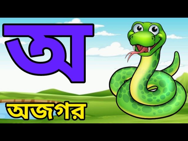 ছবি দেখে খুব সহজে বাংলা অআকখ চেনা | অ অজগর আসছে তেড়ে | বর্ণমালা পরিচয় | স্বরবর্ণ ও ব্যঞ্জনবর্ণ |