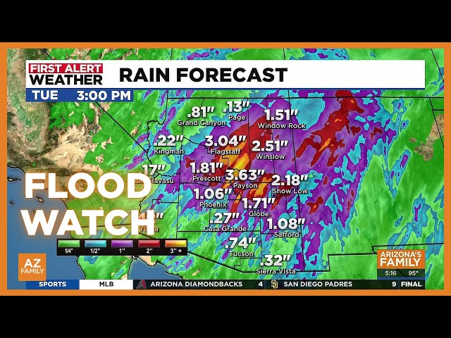 Rain, thunderstorms and localized flooding in forecast for Arizona
