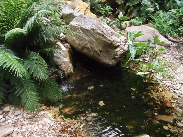 Episode 12 - Self Assurance - My Medicine Wheel Journey to Self Healing