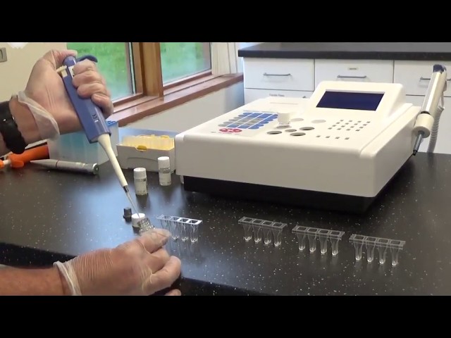 TS4000 Preparing a Test