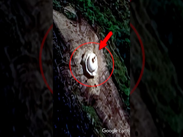 This Strange Structure on Google Earth Needs Investigating! #exploring #adventure #hiking #mystery