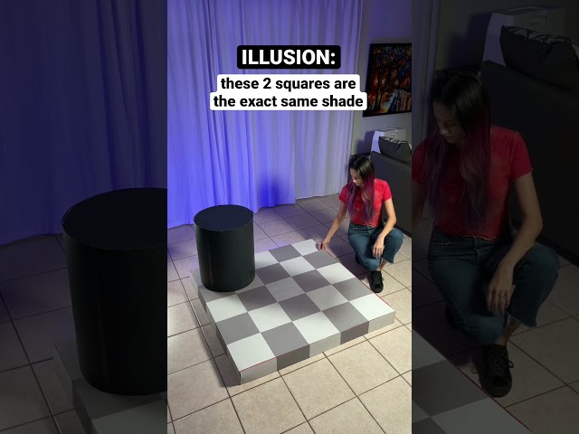 The checker shadow illusion will blow your mind