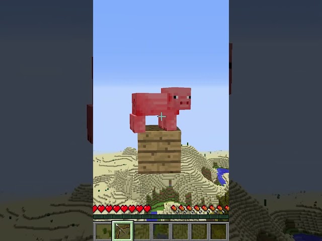 Minecraft Meme