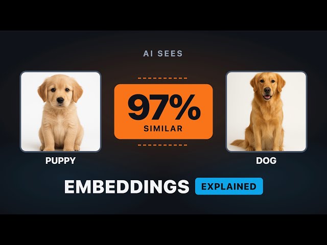Embeddings & Vector Databases Explained