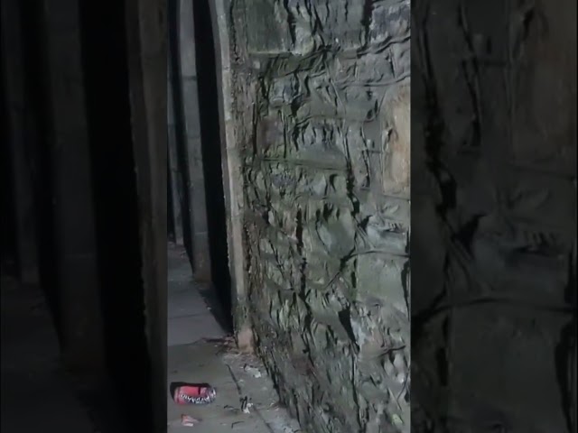 Creepy Corridor or Stunning Arches? You Won't Believe This! #shorts