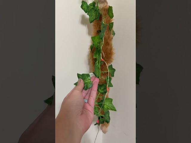 12 Pack Fake Ivy Vines Review | Aesthetic Room Decor with Artificial Greenery & Clips