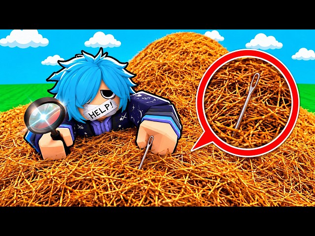 I FOUND THE NEEDLE in the HAYSTACK! - Roblox