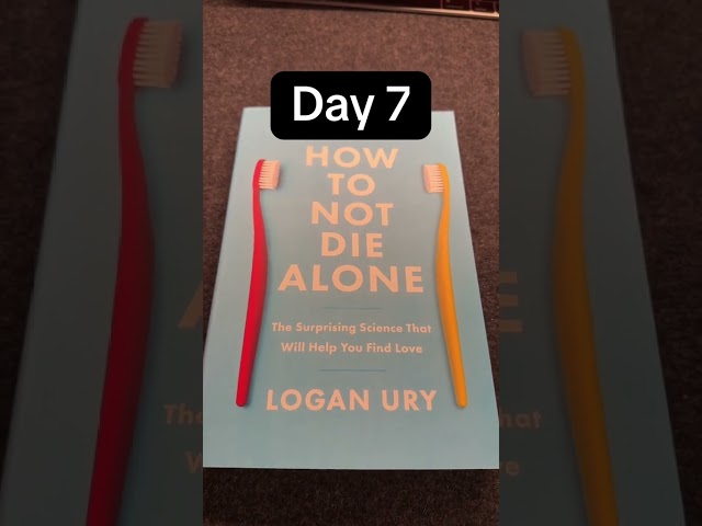 Day 7 Christmas Book Recommendations #adventcalendar #bookrecommendations #reading