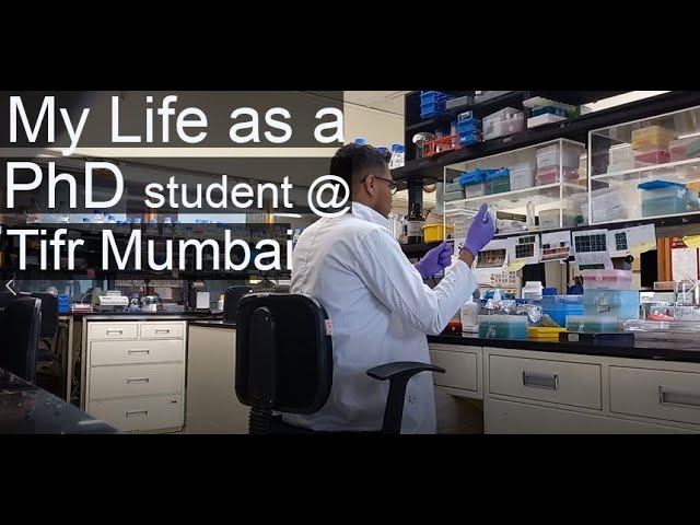 My life as a PhD student at TIFR Mumbai.