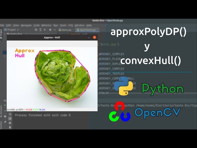 Contour Approximation with OpenCV and Python | ConvexHull and approxPolyDP