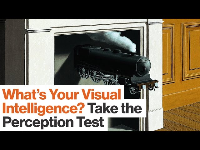 Take This Perception Test to See How Visually Intelligent You Are | Best of '16  | Big Think