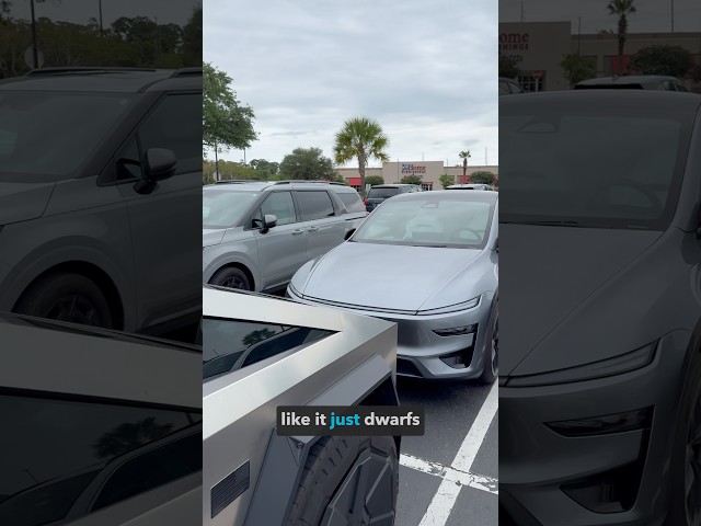 If These Cost The Same… Which One Wins?