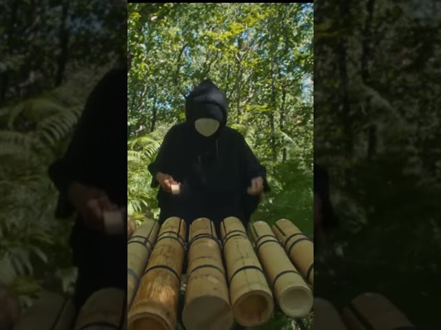 Entrez dans la forêt. 🌿 @makotosan1545  — « Amazone » Une odyssée brute et hypnotique.