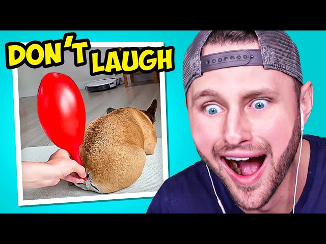 Watching The World's Funniest Videos