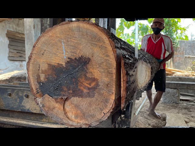 The difficuly of sawing the hardest wood In east Java,Indonesia |sawmill