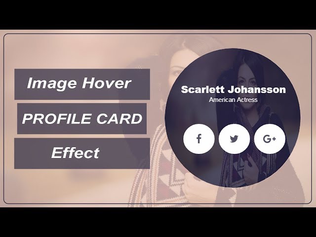 Image Hover Profile Card Effect - Profile Card - Image caption hover effect