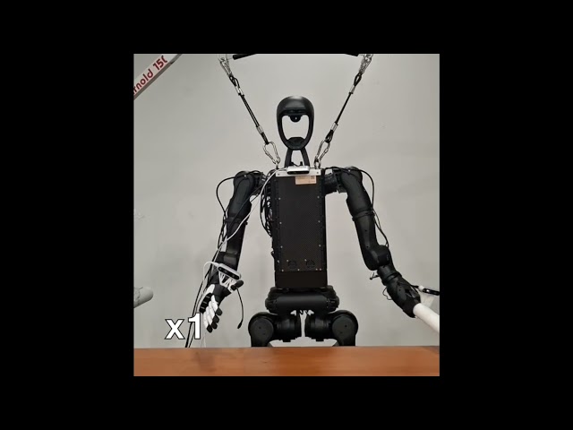 Humanoid imitation learning via Easy Trainer