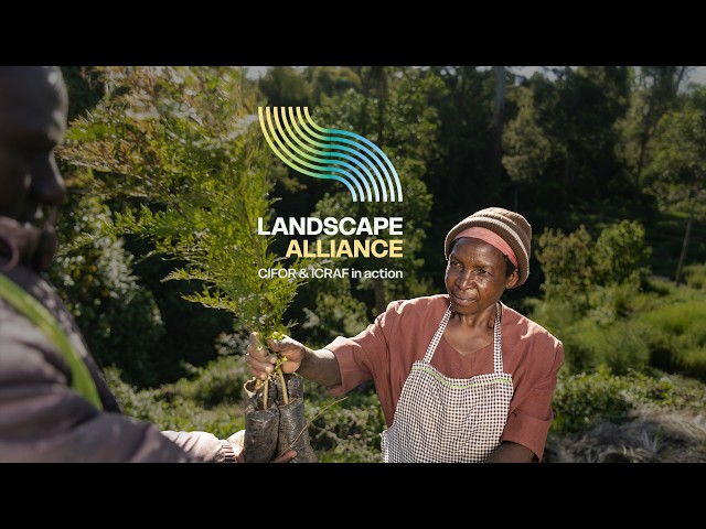 Introducing the Landscape Alliance: CIFOR & ICRAF in Action