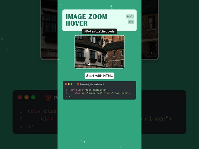 Image Zoom Hover Responsive Website with HTML CSS  #htmlcss #coding #shortsviral #webdesign