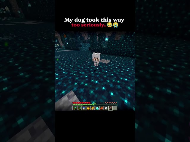 My dog took this way too seriously 😂  #minecraft #scary #gaming #shorts #minecraftshorts
